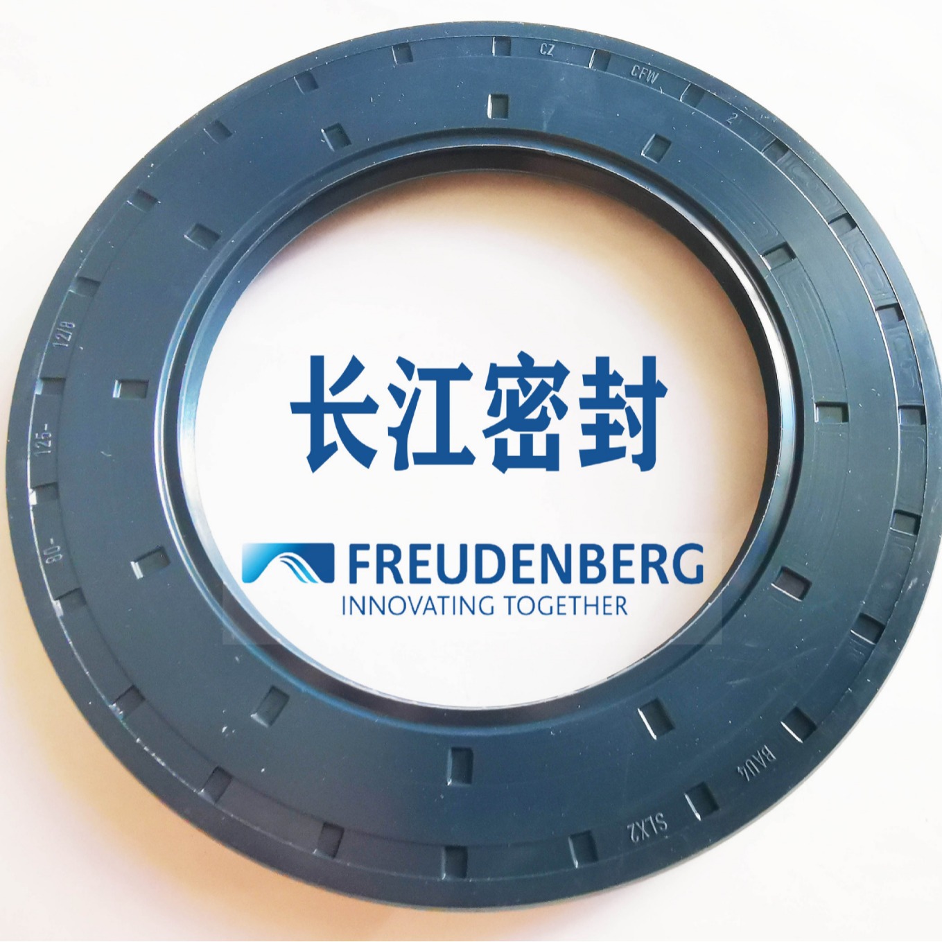德国进口骨架油封CFW BAU4SLX2 45-75-8 双唇口 丁腈橡胶耐油型
