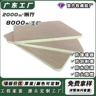 碳晶板护墙板室内装饰电视背景墙金刚防撞板无缝自装扣板木饰面板