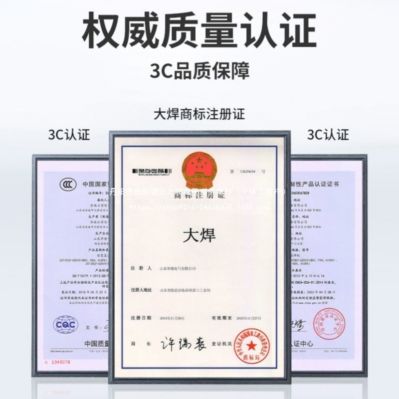 大焊315电焊机 220v380v家用小型直流双电压全自动全铜工业多板机