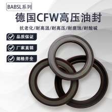 CFW�͸߉��Ǽ��ͷ�BABSL TBV TCV�ͷ��ͱ��R�_�ܷ�