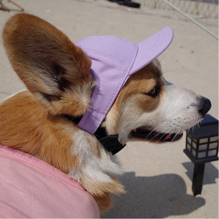 Mascotas salen, protector solar, enfriamiento, fotos, sombrero para el sol de la marca Corgi Trendy, sombrero de perro de peluche ajustable para perros al aire libre