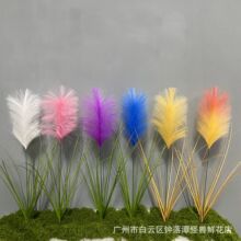 �����JȔ�ݰ����Gֲ����ֲ�����l��ȼ�S��ֱ�N�羳temu���R�d