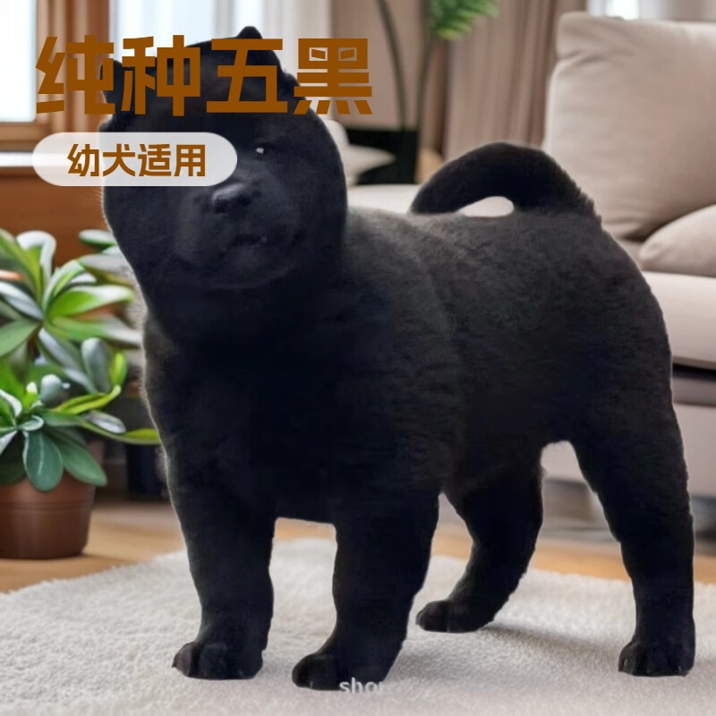 Purebred Five-Red Dog, Guangxi Native Hunting Dog, Five-Black Dog, Tiger Head, Tiger-Spot Red Native Dog, Guard Dog, Chinese Pastoral Dog