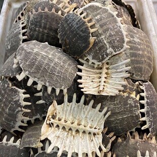 ��ș�����M�׼�Ұ�����~ �M�ך����� ������Ʒ���]�����M���