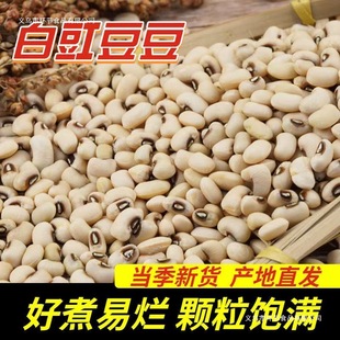 ��؛��ü�� 500g�r�Ұ����� ��؛��׶��׶��ӽ�����{ �s�Z