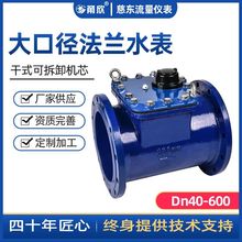 甬欣牌水平螺翼可拆干式水表中叶轮DN250 法兰机械式水表