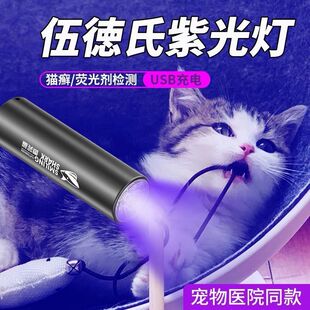 ����ϟ���؈�\�����⾀�ɹ℩�P�Ϲ������z�y���Ͳ���ﶺ؈��