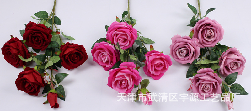 img_8078_副本.jpg