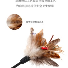 ؈˽␞؈ëҧB؈؈Ʒ