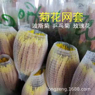 �Nֲĵ�������ϾWƹ�Ҿջ��W�� õ�屣�o�W�״��W�r�л��������b