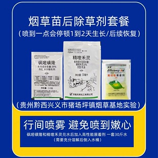 ���݌��������݄��^�׻�¡��~�ݾ�୺��`�̱����s�ݚ���ș