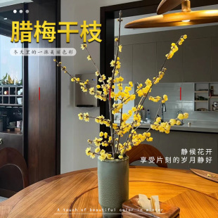 ����������ˮ�_����֦÷�������D÷�r���������҃���ˮ��ֲ���ͺ�