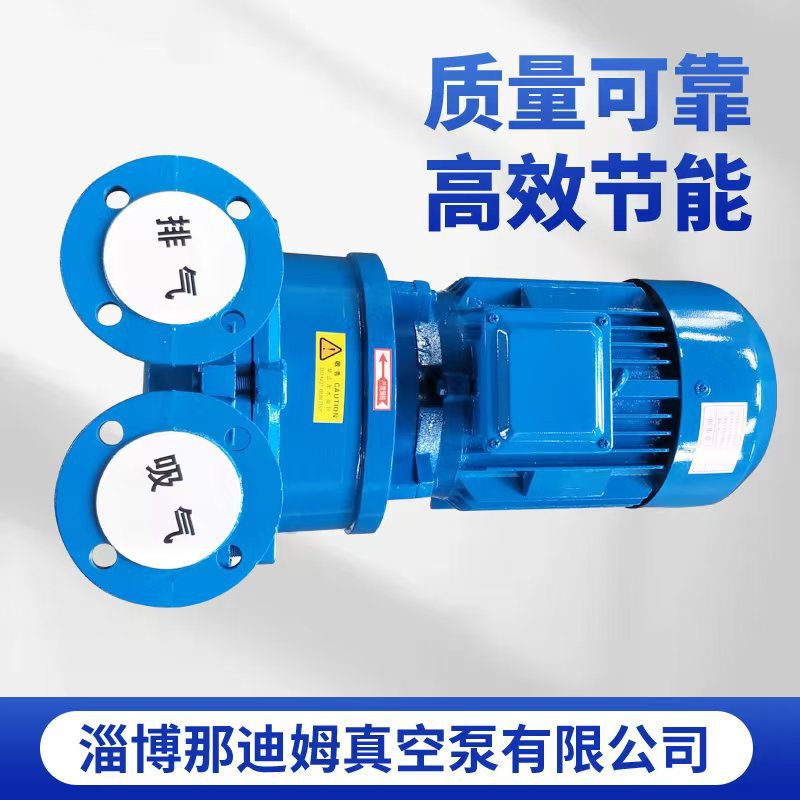 厂家直销2BV5110(4KW)铸铁不锈钢水环式真空泵 4KW不锈钢真空泵