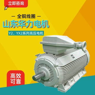 山东华力电机Y2、YX2系列紧凑型高压三相异步电动机厂家直供