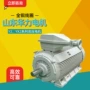 华力山东高压紧凑型电动机