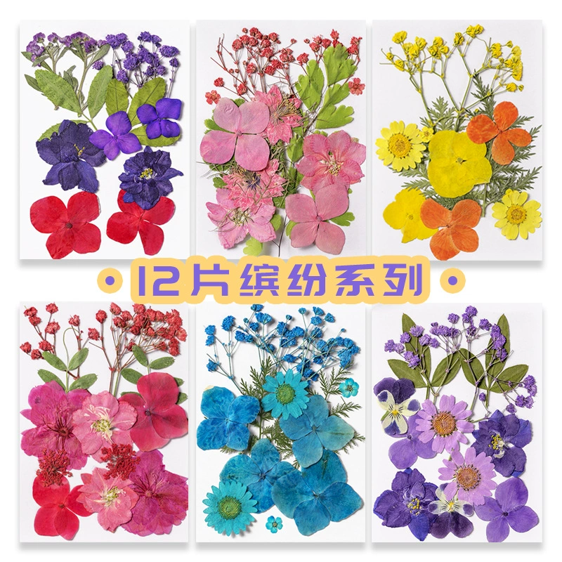 Сухой цветок тисненый материал сумка цветок DIY Закладка капли клея сушеный цветок оболочка мобильного телефона образец тисненого цветочного растения