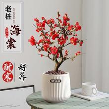 L۹ںĻͺ񴹽zͥԺϘ辰ֲﰫ