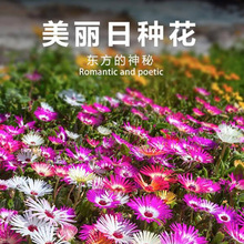 ~ĵշNļN׻AͥԺ^GNֲԻ