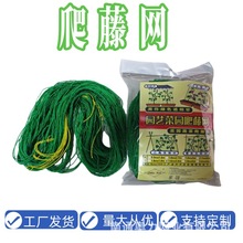 家用 园艺网 植物爬藤网 花卉网 普通型 1.8m*1.8m 320D/27股
