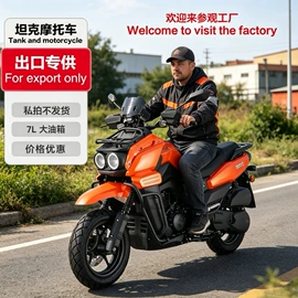 两轮摩托车;电动摩托车;正三轮摩托车