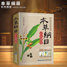 【彩色图鉴】本草纲目全书正版医学全图鉴中草药药材大全养生书籍