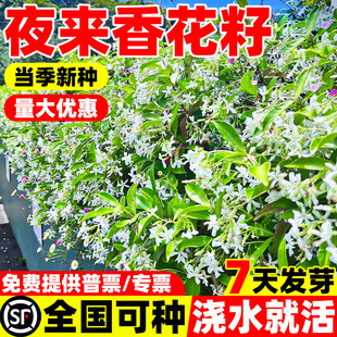 ҹ㻨òݷNļ_׻̨ͥԺxN