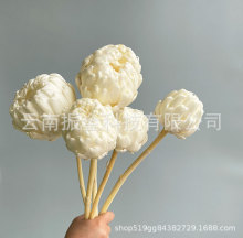 滨ɏѩɏɻpݸ߶˸ߙnˇҾӔ[