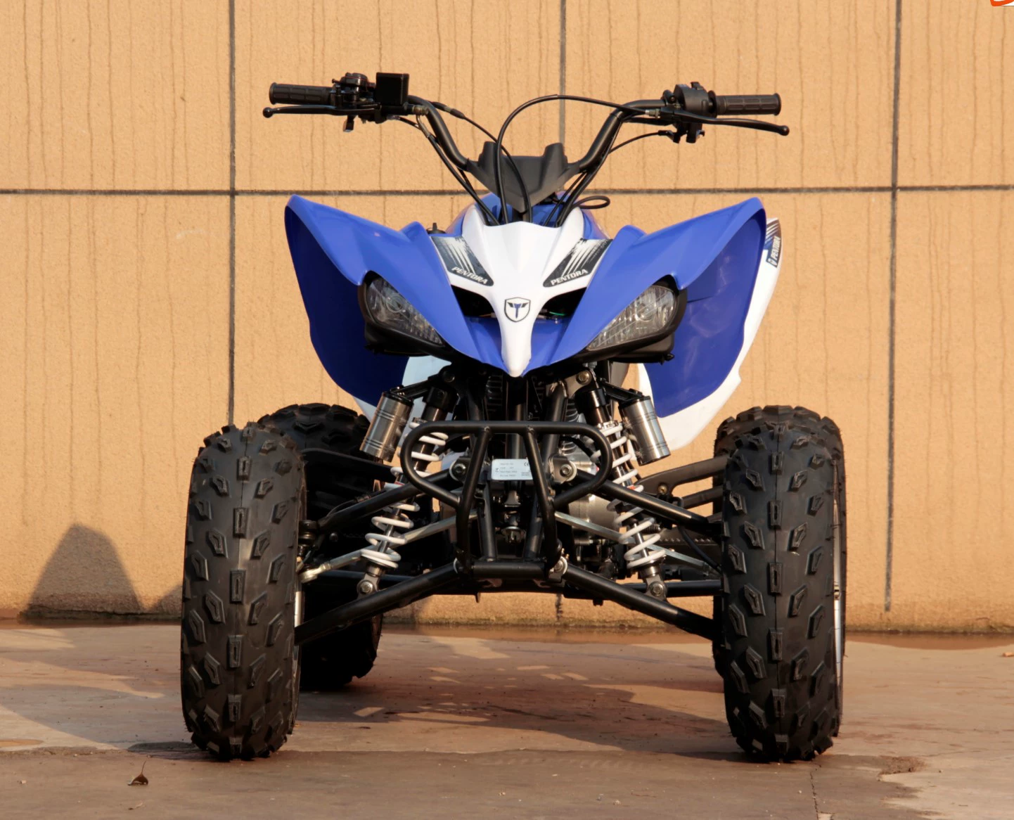 250cc сетевой красный спортивный образец пляжный автомобиль