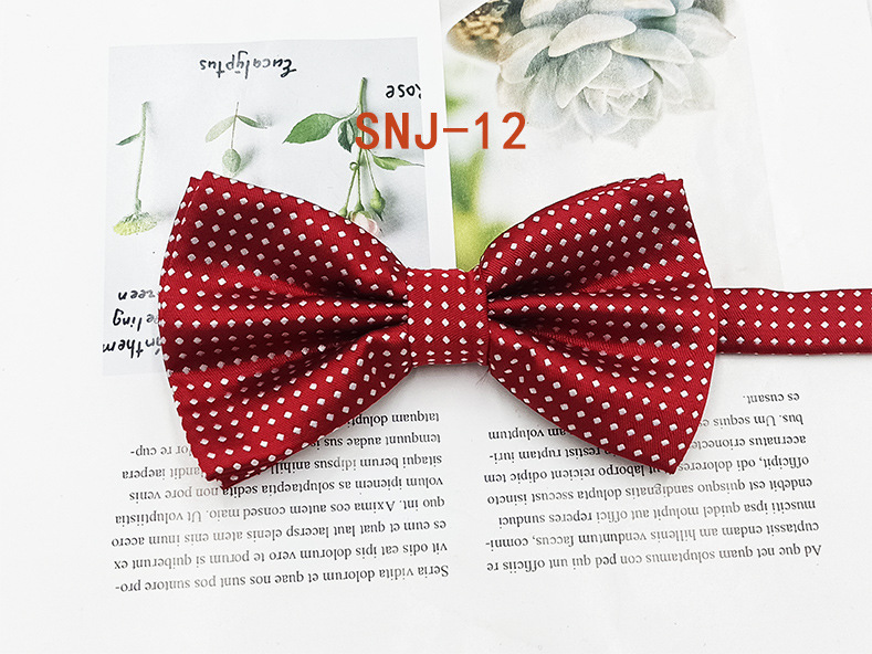 Nuevo fabricante en stock profesional ropa formal Caballero pajarita poliéster seda Dot Double Fold hombres pajarita novio padrino