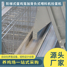 阶梯式机械蛋鸡笼养鸡笼自动化养殖设备喂料机捡蛋机厂家供应