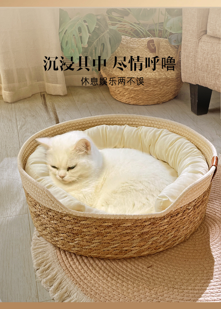 649e1e6c-f003-44e4-8803-77551bf0a2fb.jpe