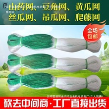 �ә�ֲ�����پW�N�϶��ǵ��Ͻz�Ͽ���S�ϰ�����W�Nֲ�����r�þW