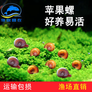 �O���� �^�p�� ������ �����坍�� ���z�� �ݸ��~���坍��ʳ����