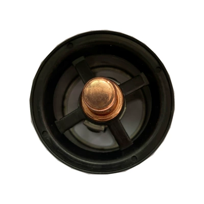 8420968 8149182 1676306 – Thermostat