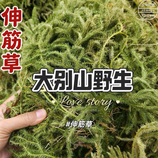 Ұɽ�������_�Rβ����ݽ�ǲݷ�ʯ�ɪ{�Ӳ�С������؛��