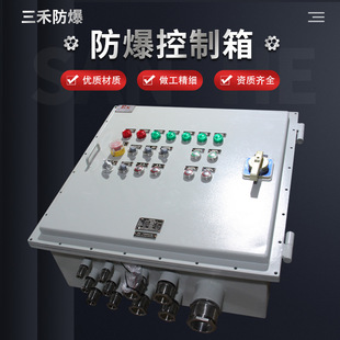Sanhe Non-Standard Iib Explosion-Proof Control Box Dust Distribution Box Ip66 Grade Wiring Cabinet for Petroleum and Chemical Places