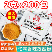 羊肉串忆霖烤肉蘸料撒粉小包商用家用2g腌烧烤调料烤鸡香辣孜然粉