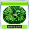 Transparent green mixed laser green large handle 6 inches [30cm*37cm]