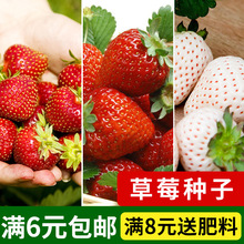 �t��ݮ�����Ͳ�ݮ���Բ�ݮ�̨�҃��^�pʳ���ļ���ˮ���N���ј�׼