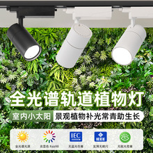 全光仿太阳谱植物墙补光灯 轨道射灯室内景观绿植补光灯LED生长灯