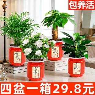 ������29.8Ԫ���lؔ�������d�ӻ����F���҃ȾGֲ����С����ֲ��