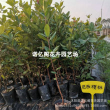 ��������������������õ���������̨�����ϱ����Nֲ������