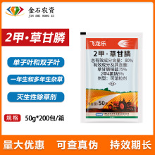 �໯�w����80%2��&middot;�ݸ�좿��������Ǹ����s�ݜ����Գ��݄��rș