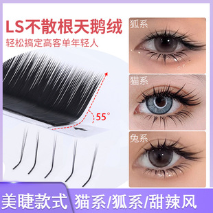 LS�ͺ�ϵ���Z�q��ë��ɢ��؈ϵ���������޵ꎟ�޽ӌ��ó���Ȼܛë