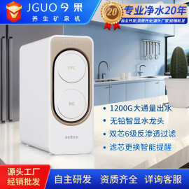 1200GTDS值复合PPC过滤反渗透净水器纯水机直饮机RO大通量净水器