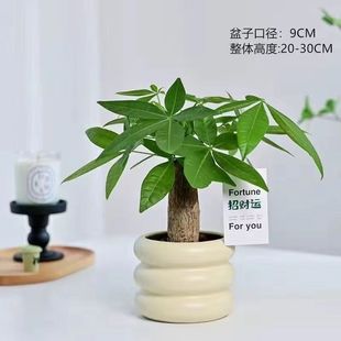 �lؔ���҃ȾGֲ������B�ļ�����≺���˾Gֲ