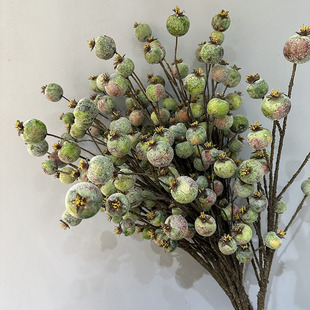 �������� �ָй����ڹ�ܛ�b�����Ĕz���߼Ҿ��b� �{���������