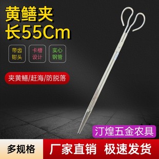 �S�X�A���q�X�~�Q�����s�����P䓼��L�з�A�����r�����A����