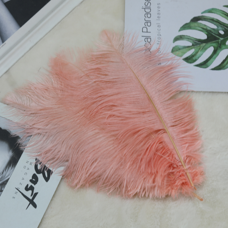 Plumas de avestruz bodas blancas de avestruz guía de plumas accesorios de fotos adornos rojo rosado en línea grandes plumas decoración