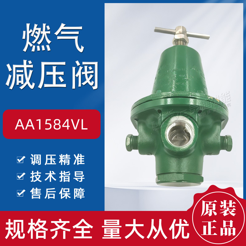 rego力高热处理烘干机减压阀AA1584VL无水氨高压气体调压器